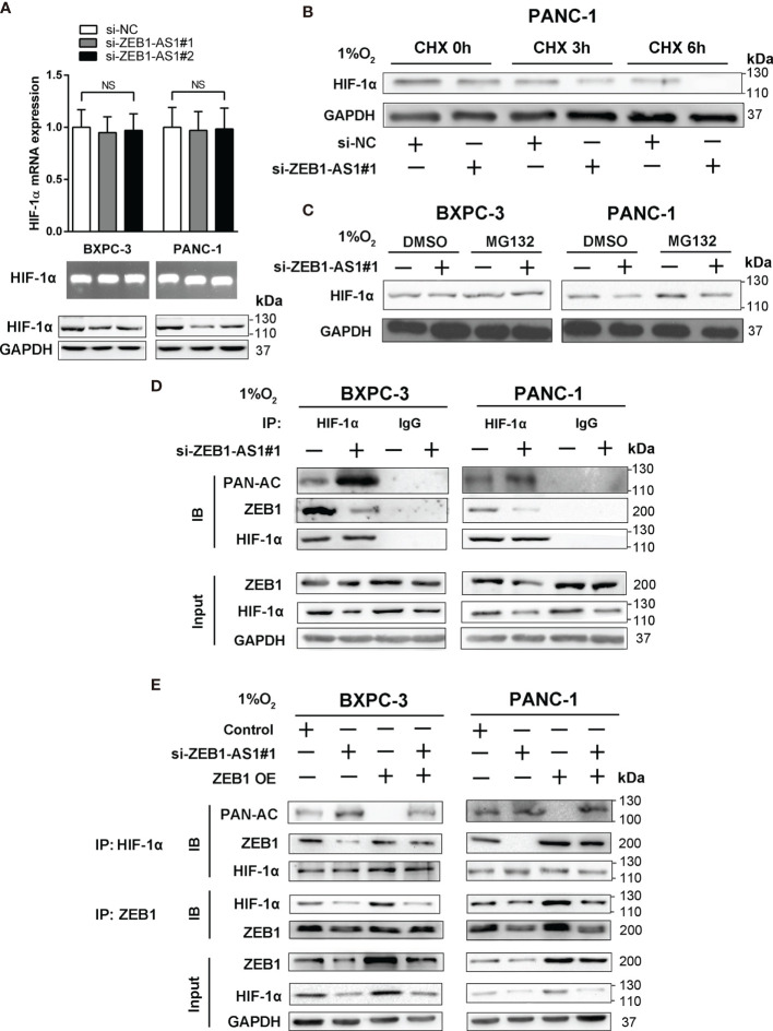 Figure 5