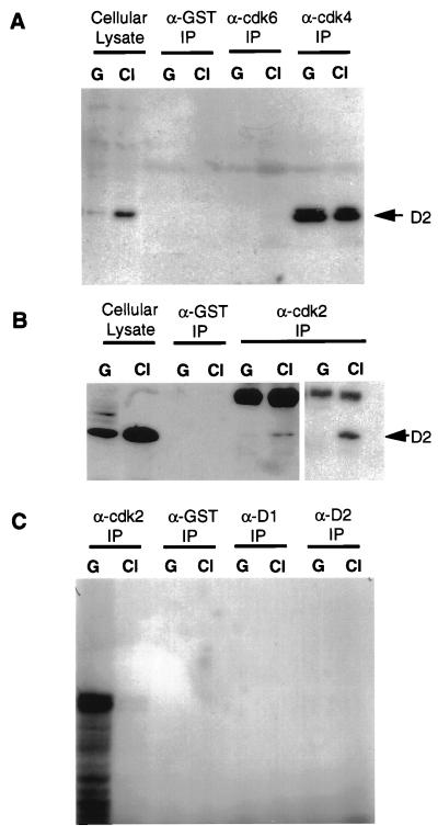 FIG. 6