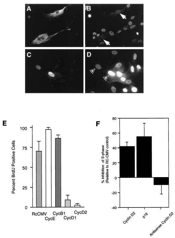 FIG. 7