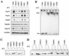 FIG. 3.