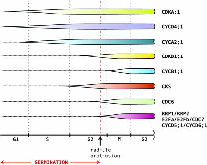 Figure 6.