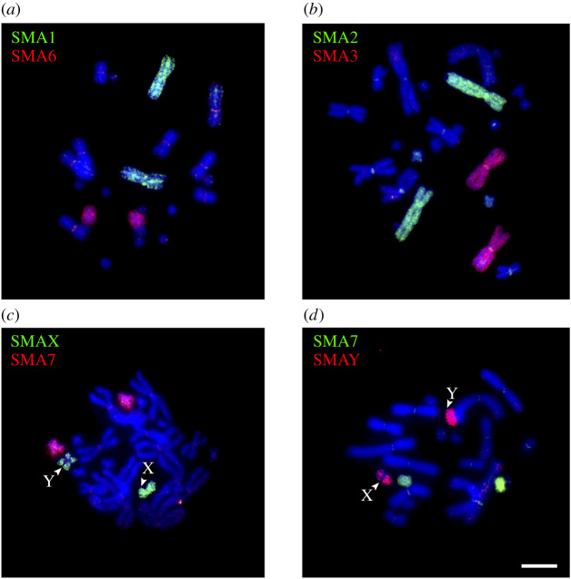 Figure 3. 