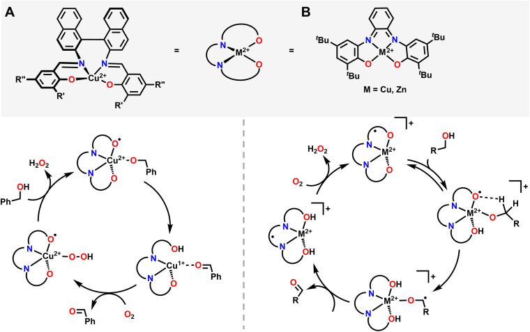 Fig. 5