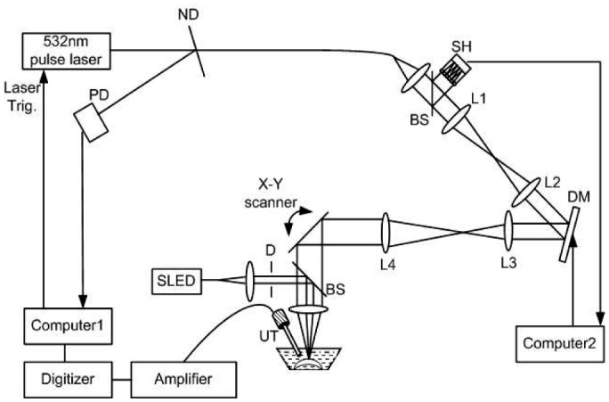 Fig. 1