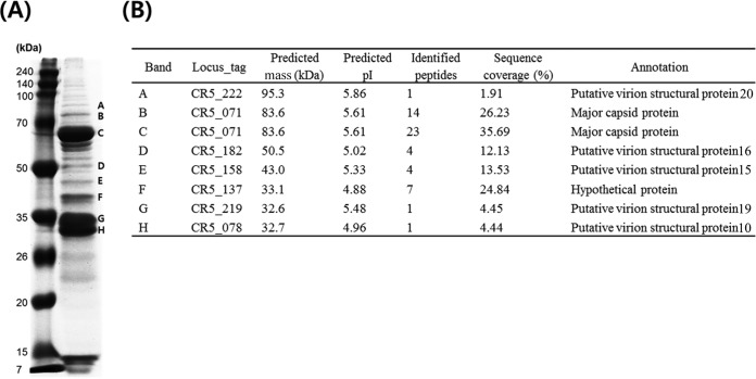 FIG 6