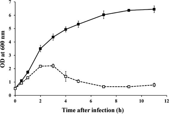 FIG 2