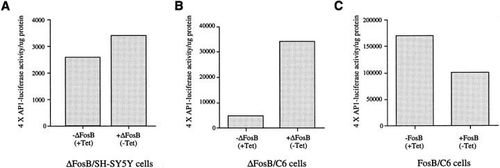 Fig. 10.