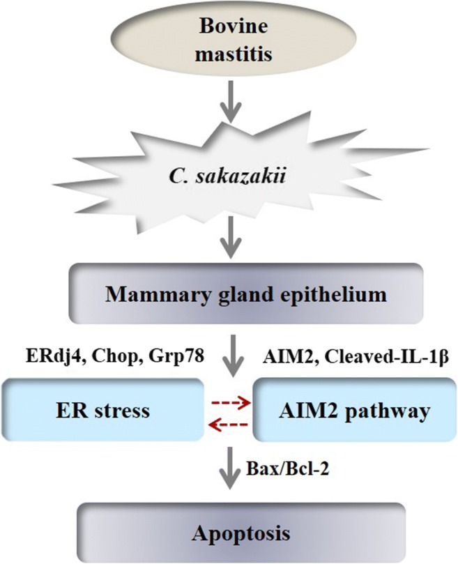 Fig. 6