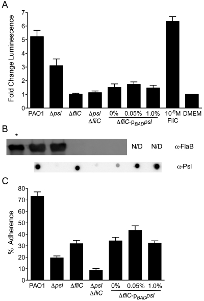 FIG 1 