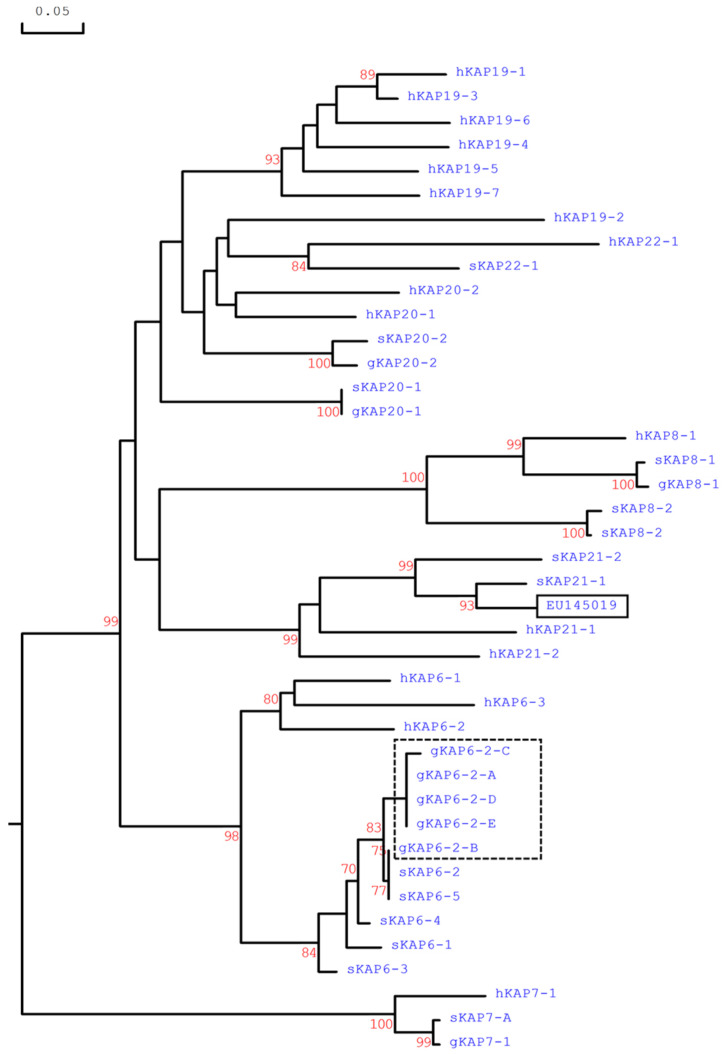 Figure 5