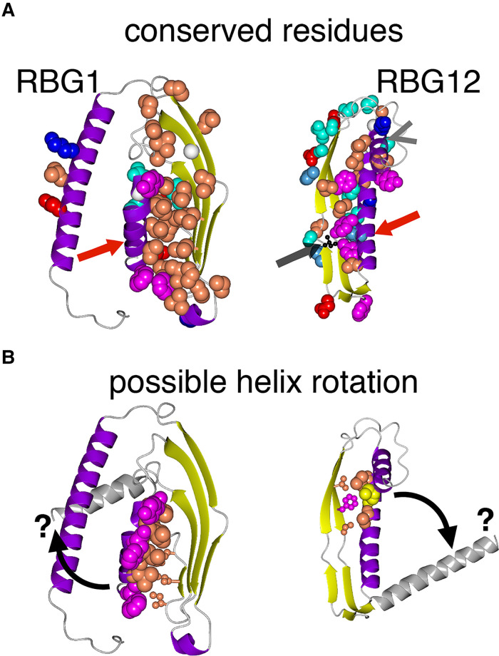 Figure 7.