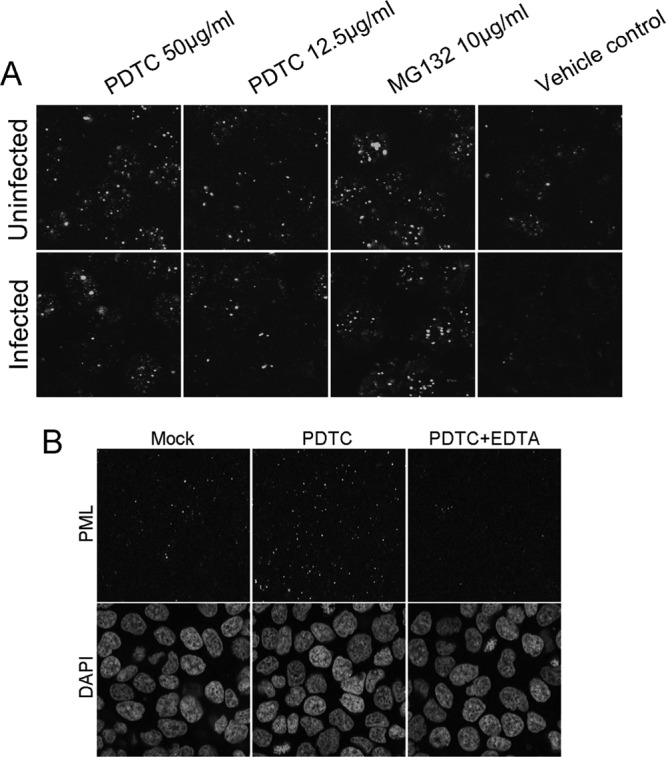 Fig 8