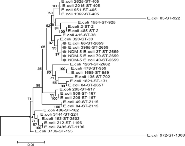 FIG 2