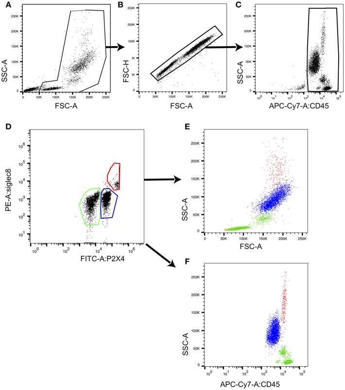 Figure 7