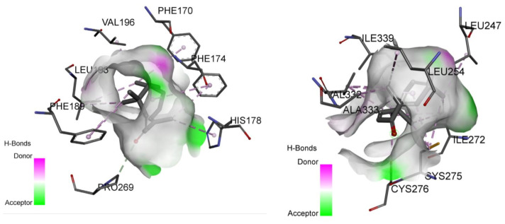 Figure 10