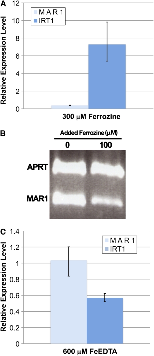 Figure 9.