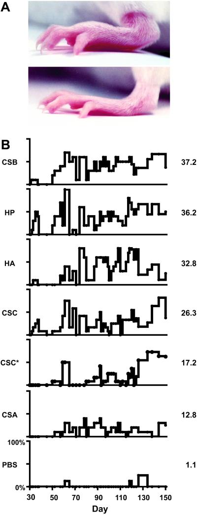 Fig 1.