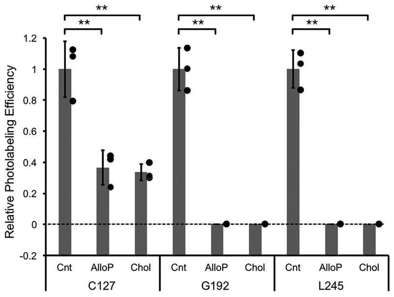 Fig. 8.