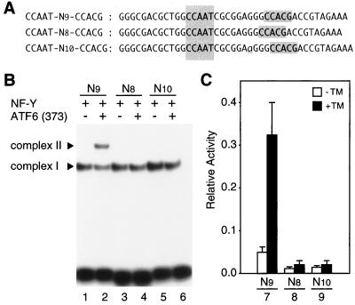 FIG. 12