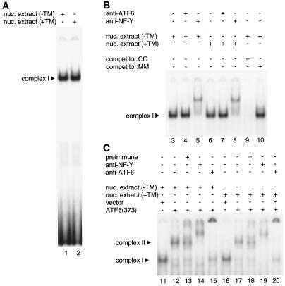 FIG. 11