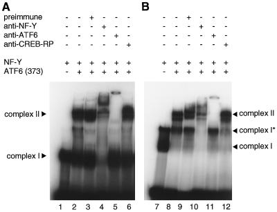 FIG. 10