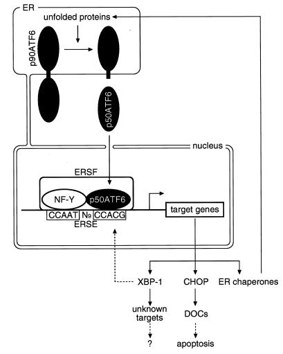 FIG. 13