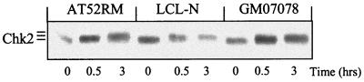 FIG. 7