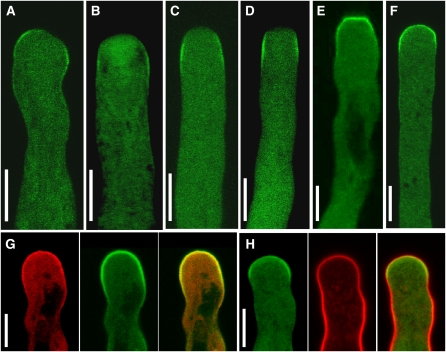 Figure 6.