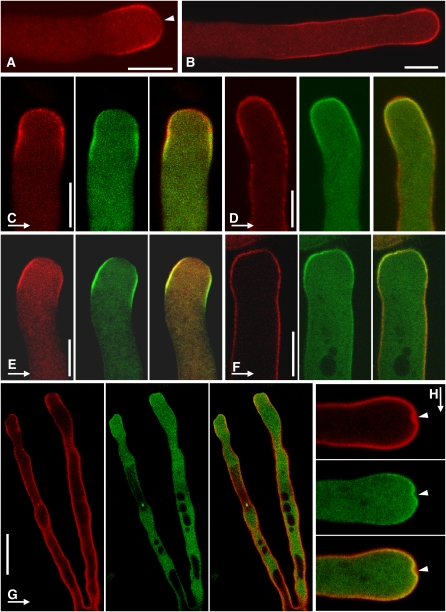 Figure 10.