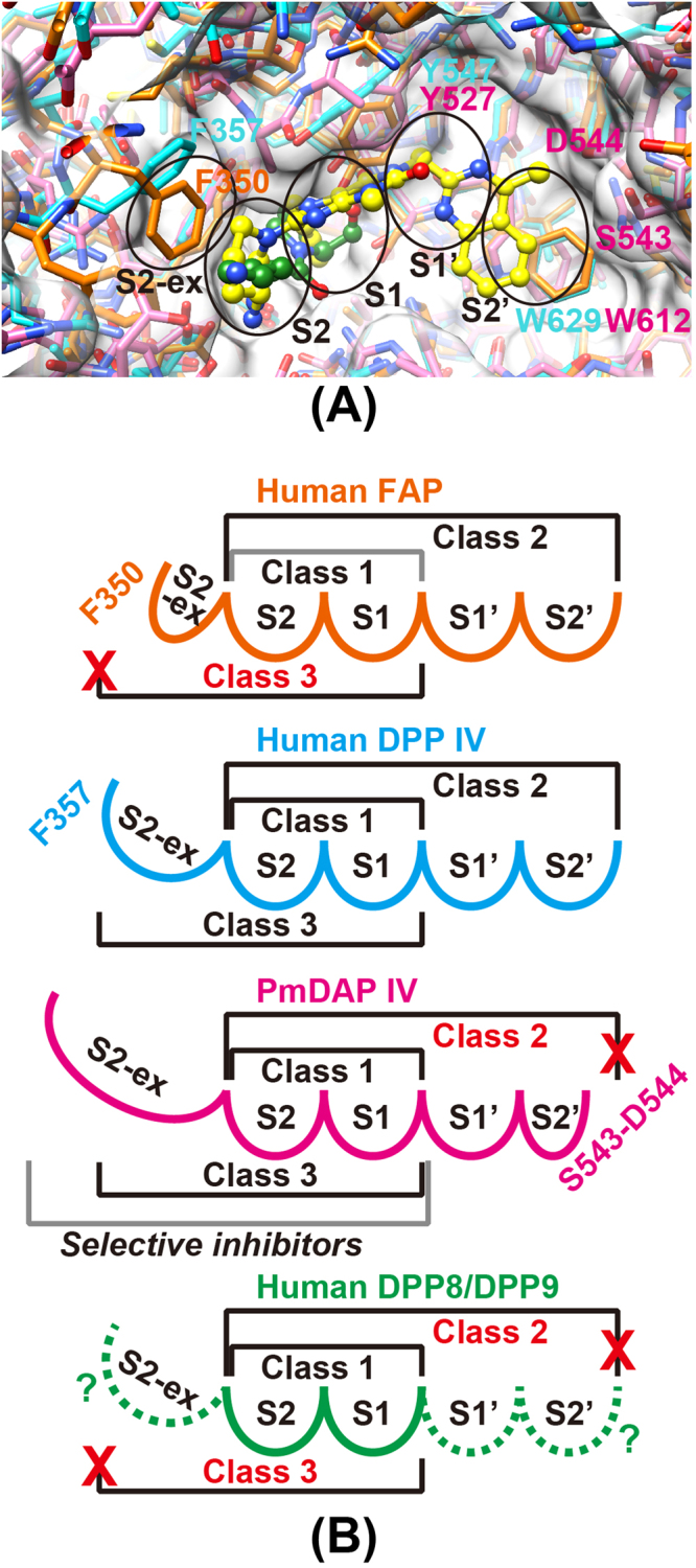 Figure 8