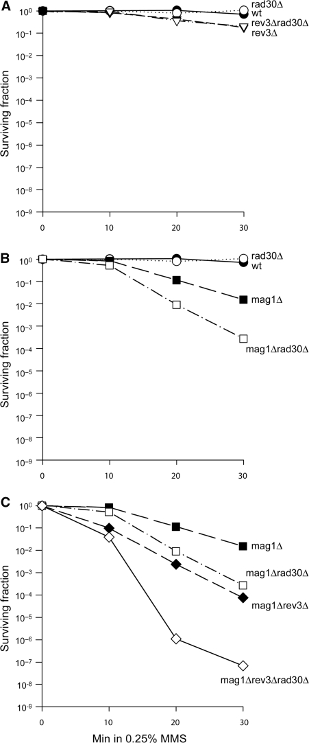 Figure 6.