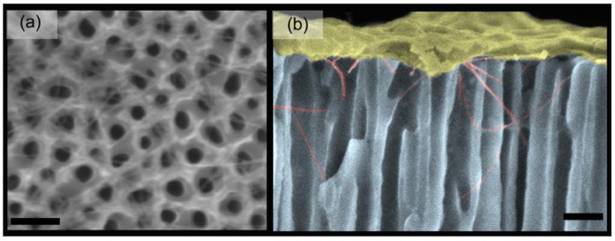 Figure 10.