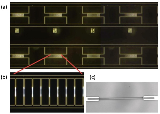 Figure 7.