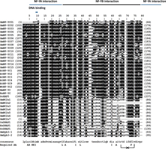 Fig. 7