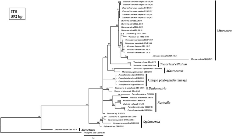 Fig. 6