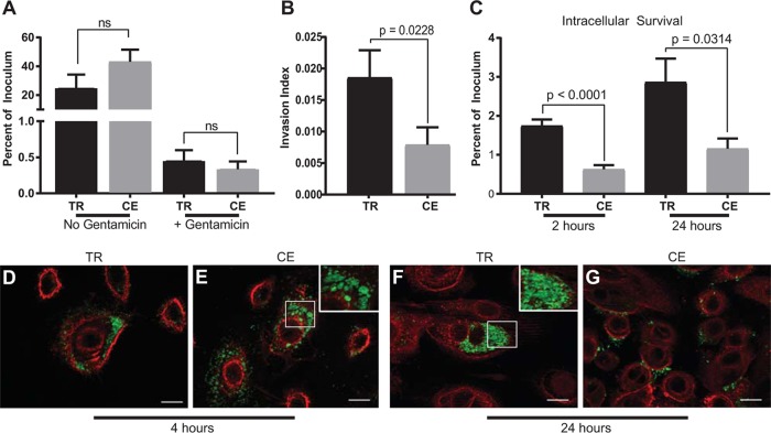 FIG 2