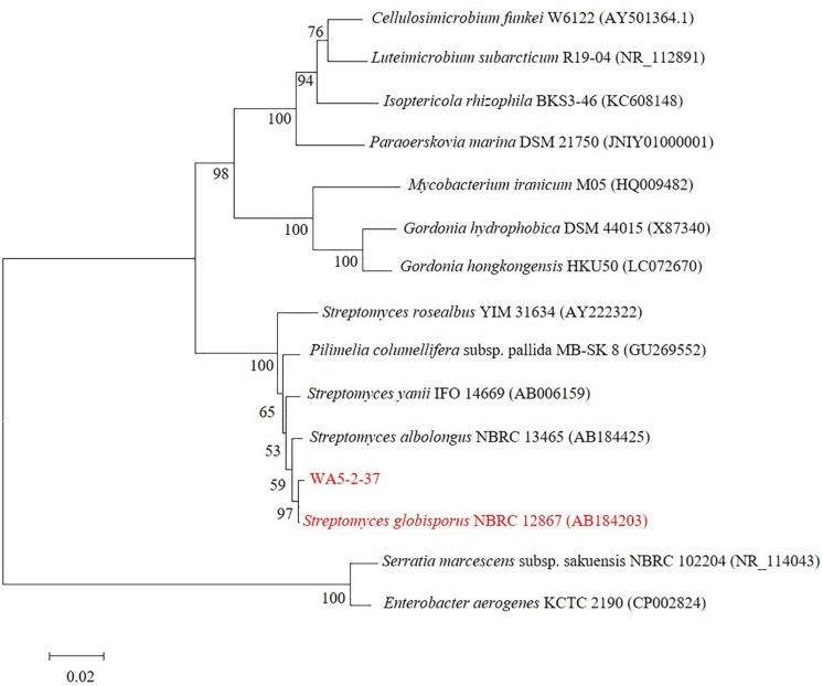 FIGURE 2