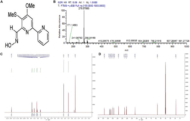 FIGURE 4