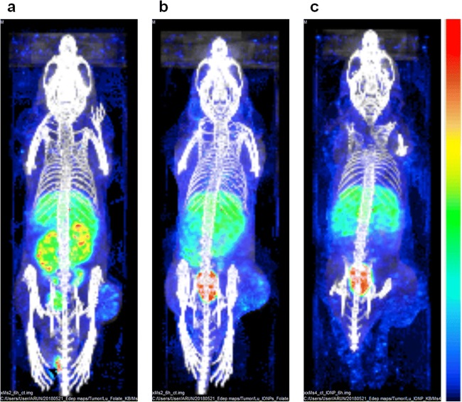 Fig. 3