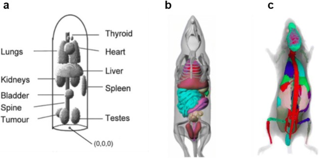 Fig. 1