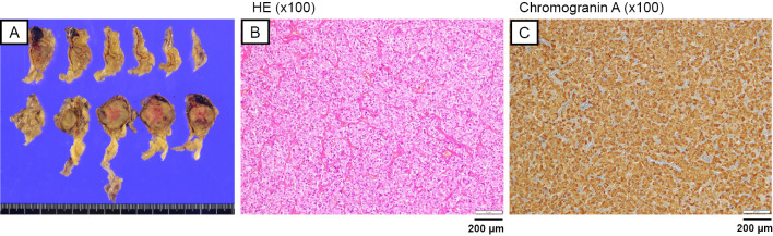 Figure 3.