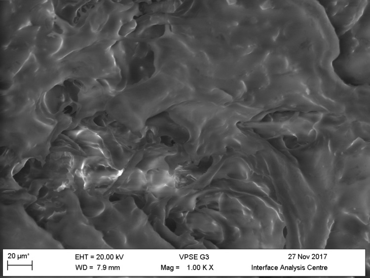 Appendix 1—figure 30.