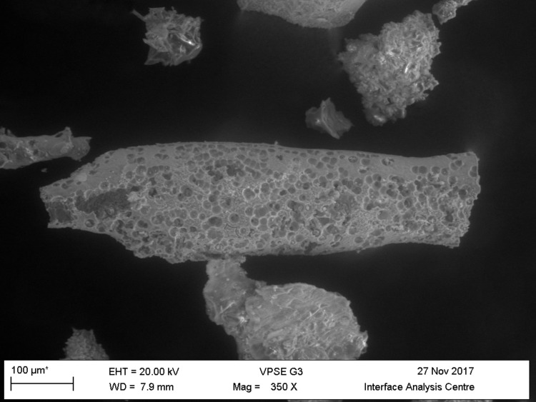 Appendix 1—figure 35.