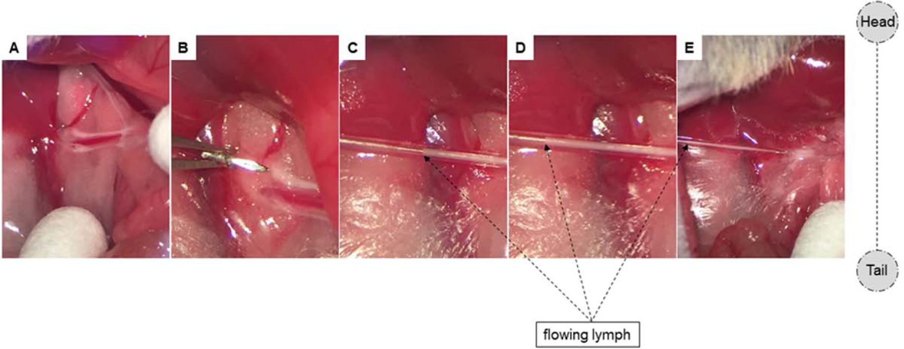 Figure 6.