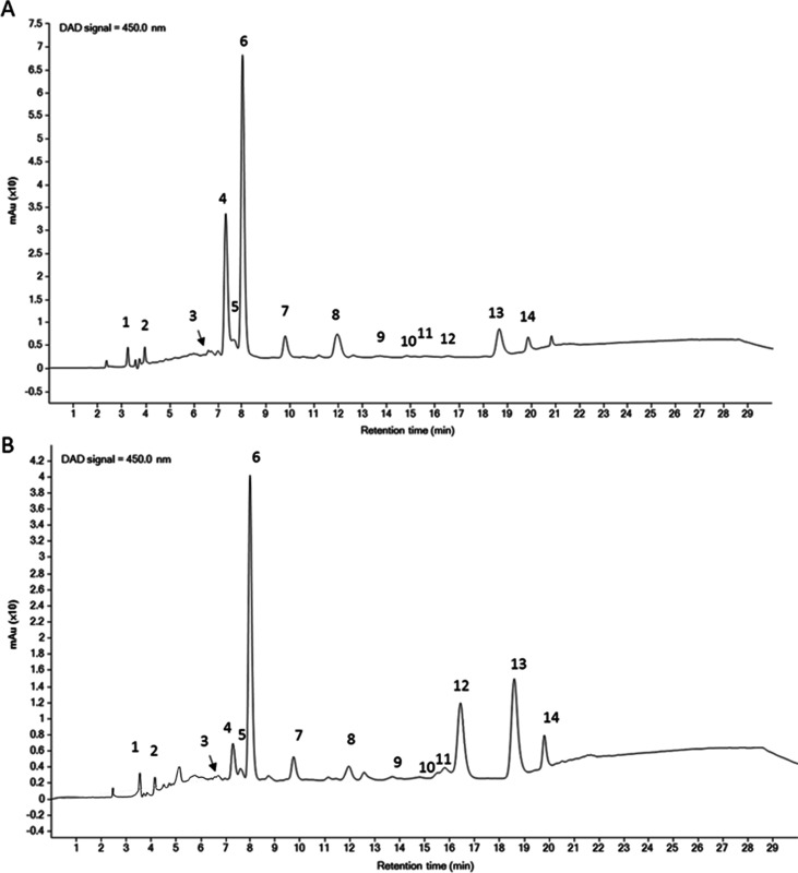 Figure 6