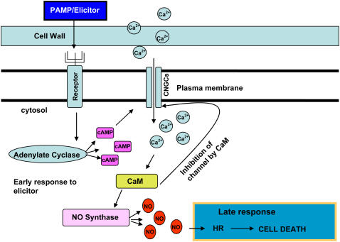 Figure 9.