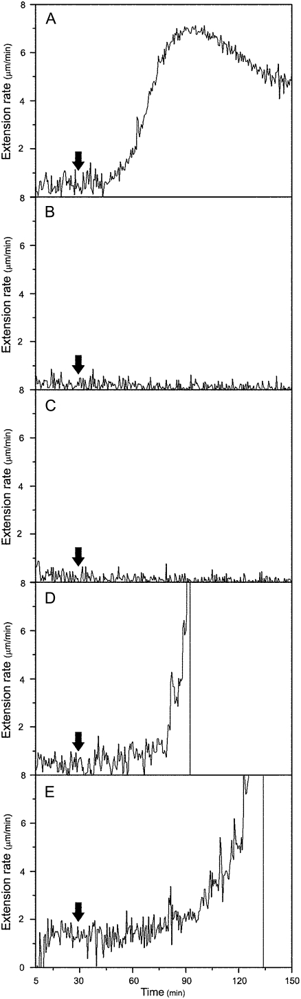 Figure 9.