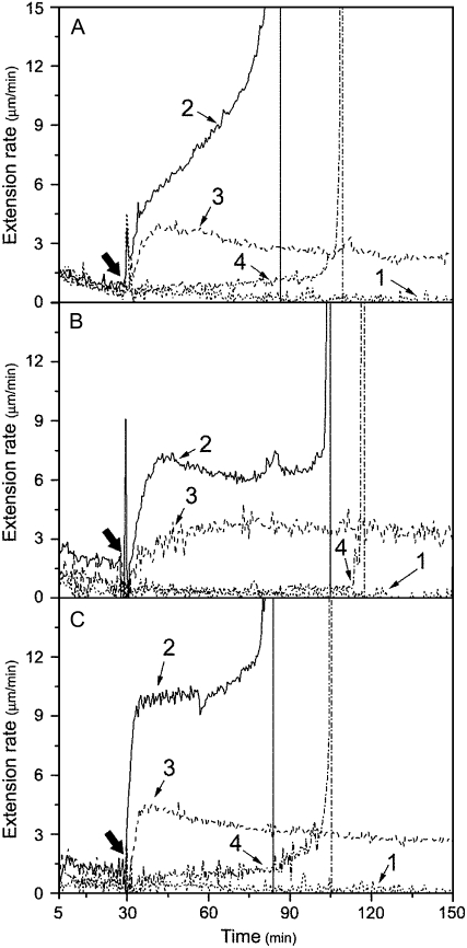 Figure 5.