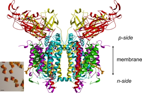 FIGURE 3.