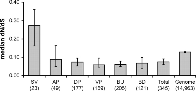 FIG. 2.—